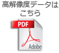 PDF